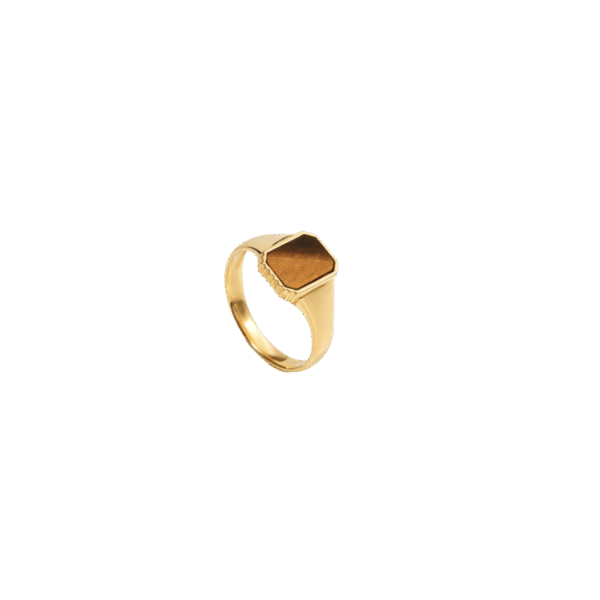 Tigress Ring GP fra Spinning Jewelry